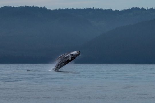 MLK Day in Hoonah
