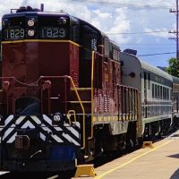 Trolley Tours