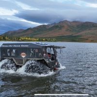 Half-day Tours