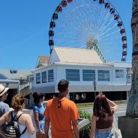 Street Food Tours