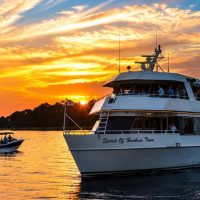 Day Cruises