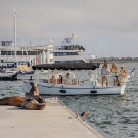 Cruises, Sailing & Water Tours