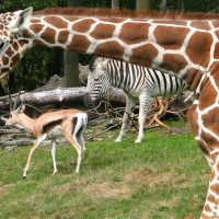 Sustainable Tours
