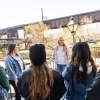Cultural Tours