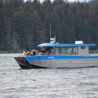 Boat Tours