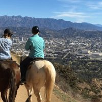 Horseback Riding