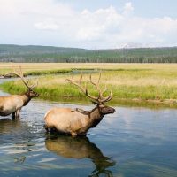 Full-day Tours