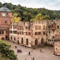 Bus & Minivan Tours