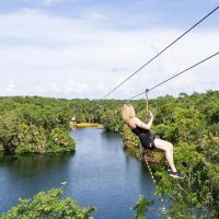 Bus & Minivan Tours