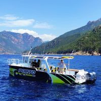 Half-day Tours