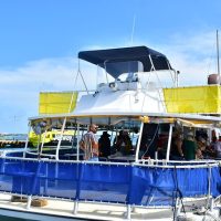 Boat Tours