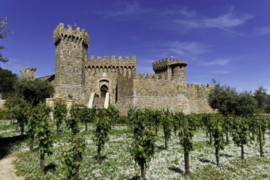 MLK Day in Napa & Sonoma