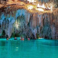 Full-day Tours