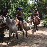 Horseback Riding