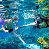 Vespa, Scooter & Moped Tours