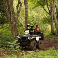 Half-day Tours