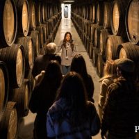 Wine Tasting & Winery Tours
