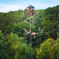 Ziplines