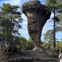 Eco Tours