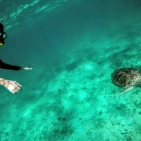 Private Sightseeing Tours