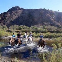 Horseback Riding