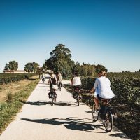 Wine Tasting & Winery Tours