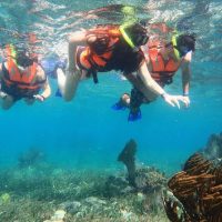 Walking & Biking Tours