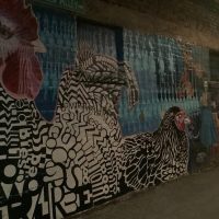 Private & Custom Tours