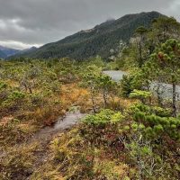 Hiking & Camping