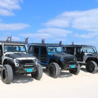 Tours & Sightseeing
