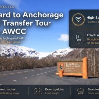 Ports of Call Tours