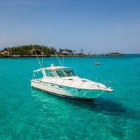 Fishing Charters & Tours