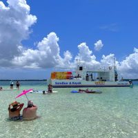 Half-day Tours