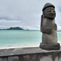 Tours & Sightseeing