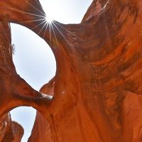 Half-day Tours