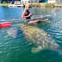 Kayaking & Canoeing