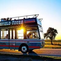 Bus & Minivan Tours