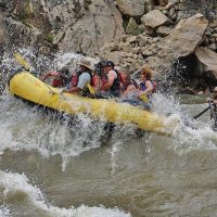 Full-day Tours