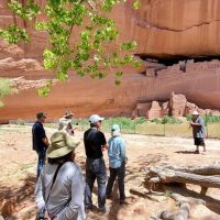 Half-day Tours