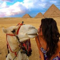 Bus & Minivan Tours