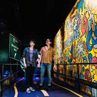 Attraction Tickets