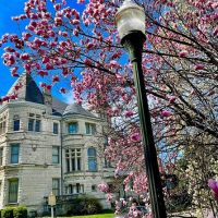 Holiday & Seasonal Tours