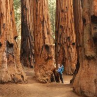 Tours & Sightseeing