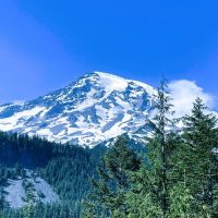 Sightseeing Packages