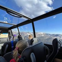 Half-day Tours