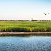 Bus & Minivan Tours