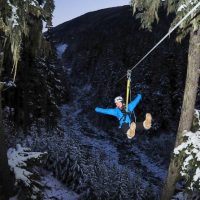 Ziplines