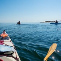 Full-day Tours