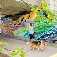 Walking Tours