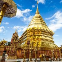 Half-day Tours